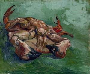 Eine Krabbe auf dem Rücken