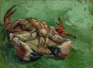 Eine Krabbe, die auf dem Rücken liegt, 1889