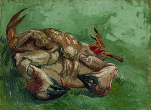 Eine auf dem Rücken liegende Krabbe von Vincent van Gogh