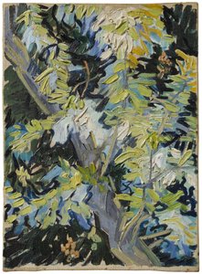 Blühende Akazie von Vincent van Gogh