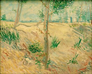 Baumstämme im Sonnenlicht von Vincent van Gogh