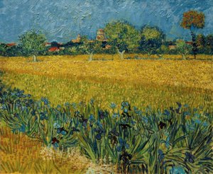 Blick auf Arles mit Irisblüten im Vordergrund von Vincent van Gogh