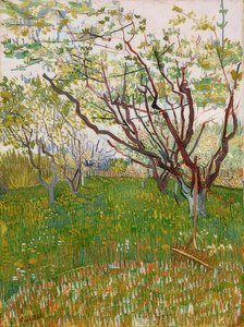 Blühender Obstgarten. 1888