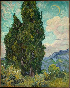 Zypressen von Vincent van Gogh