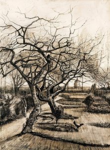 Der Garten des Pfarrhauses in Nuenen von Vincent van Gogh