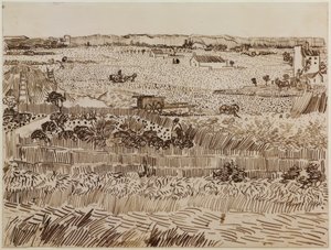 Die Ernte von Vincent van Gogh