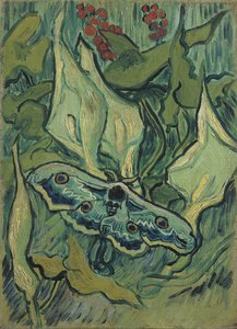 Kleines Nachtpfauenauge von Vincent van Gogh