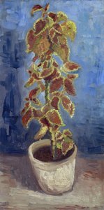 Flammen-Brennnessel in einem Blumentopf von Vincent van Gogh