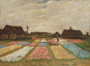 Blumenbeete in Holland, ca. 1883