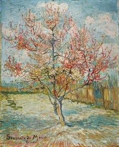 Blühender Pfirsichbaum von Vincent van Gogh