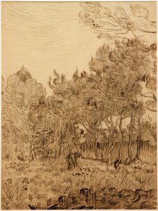 Im Park der Heilanstalt von Vincent van Gogh