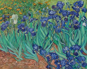 Schwertlilien von Vincent van Gogh