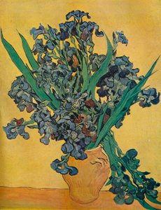 Stillleben: Iris