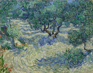 Olivenbäume von Vincent van Gogh