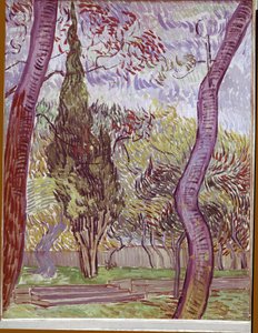 Park des Saint-Paul-Hospitals in Saint-Remy-de-Provence von Vincent van Gogh