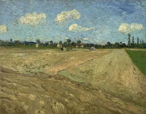 Gepflügte Felder (