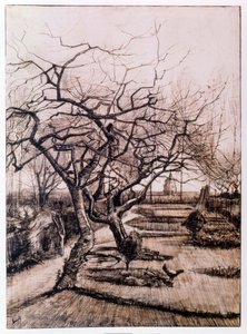 Der Pfarrgarten in Nuenen im Winter (1884) von Vincent van Gogh