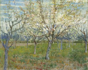 Der rosa Obstgarten, auch Obstgarten mit blühenden Aprikosenbäumen von Vincent van Gogh