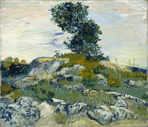 Die Felsen / Felsen mit Eiche von Vincent van Gogh