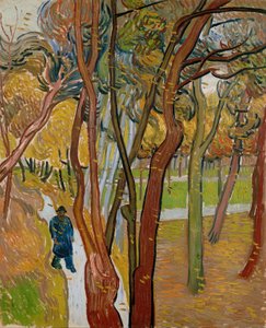Der Garten des Saint Paul