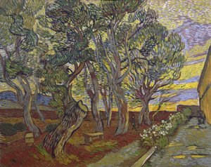 Der Garten des Saint-Paul-Krankenhauses von Vincent van Gogh