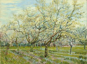 Der weiße Obstgarten von Vincent van Gogh