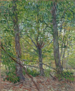  von Vincent van Gogh