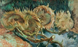 Vier verblühte Sonnenblumen