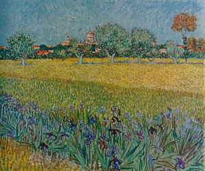 Ansicht von Ales mit blühenden Iris, 1888 von Vincent van Gogh