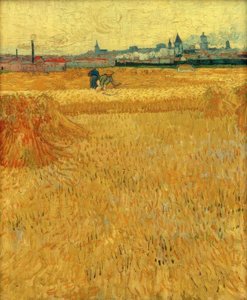 Weizenfeld mit Blick auf Arles