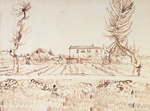 Arbeit auf den Feldern in Arles