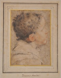 Kopf eines Jungen von Vincenzo Ansaloni