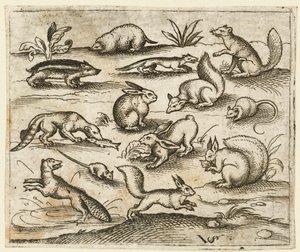 Gruppe kleiner Waldtiere, die um einen Teich essen und herumlaufen, einschließlich einer Maus, 1557 von Virgil Solis