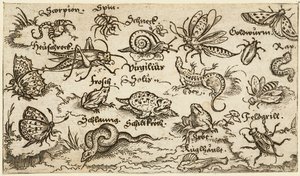 Insekten, Reptilien, Schnecken und Fische auf minimalem Grund mit Wasser im Vordergrund von Virgil Solis