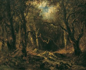 Waldinneres