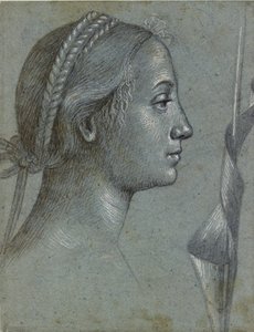 Kopf einer Frau mit einem um einen Pfahl gewickelten Wimpel von Vittore Carpaccio