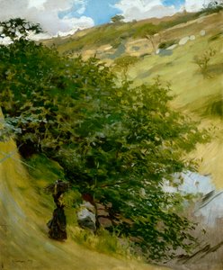 Holzstapel in der Landschaft von Vittorio Matteo Corcos