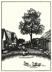 Illustration für Tess von den d