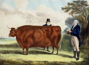 Porträt von Mr. T.W. Coke Esq. und Clerk Hilliard Esq. mit einem Nord-Devon-Ochsen von W.H. Davis