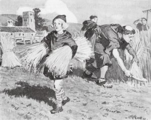 Beda auf dem Erntefeld von W.R.S. (after) Stott