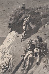 Überfall auf eine Sandschwalbenkolonie - Wie viele Eier