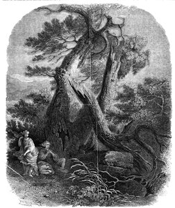 Holzstichprobe, Der Tod der Kinder von Niobe, 1844