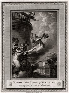 Perdix, der Neffe von Daedalus, verwandelt in ein Rebhuhn, 1774