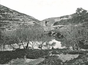 Der Teich von Siloah, Jerusalem, Palästina von W and S Ltd