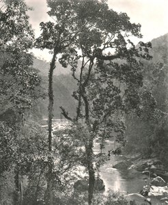 Ansicht des Kelani-Flusses, Kurunegala, Ceylon, 1895 von W and S Ltd
