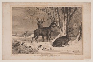 Von der Eremitage-Ebene an einem Wintertag von Waldemar Bøhme