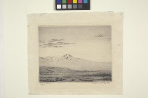 Mojave-Wüste