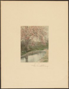 Blühender Baum von Wallace Nutting