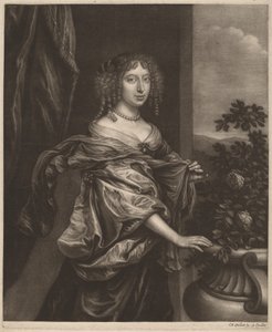 Porträt einer Dame neben einem Rosenstrauch von Wallerant Vaillant
