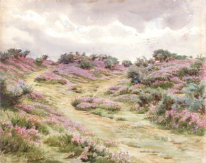 Glockenheide auf Setley Plain von Walter Frederick Roofe Tyndale